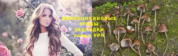 соль ск Армянск