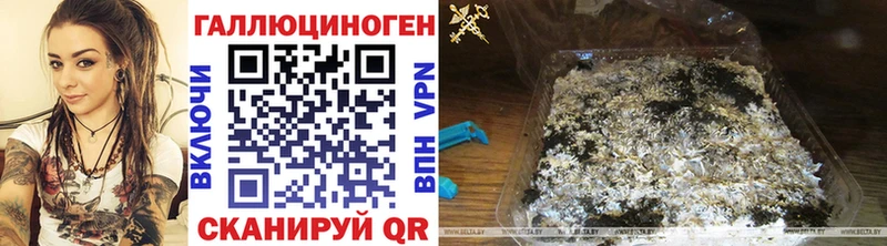 Галлюциногенные грибы GOLDEN TEACHER  маркетплейс какой сайт  Полярный 